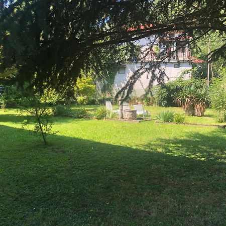 Vila Labod, Unique Villa At The Lake Most na Soči Kültér fotó